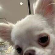 ヒメ日記 2026/01/11 17:46 投稿 りんか 熊本グラマーグラマー