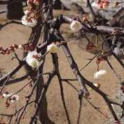 ヒメ日記 2025/02/01 18:06 投稿 純奈 昼顔妻 五反田店