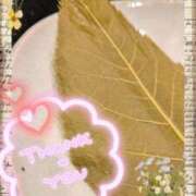 ヒメ日記 2025/03/15 21:56 投稿 純奈 昼顔妻 五反田店