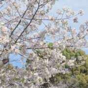 ヒメ日記 2025/04/06 21:46 投稿 純奈 昼顔妻 五反田店