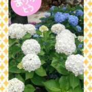 ヒメ日記 2025/06/16 22:56 投稿 純奈 昼顔妻 五反田店