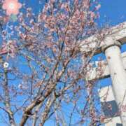 ヒメ日記 2026/01/03 18:36 投稿 純奈 昼顔妻 五反田店