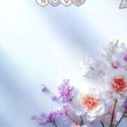 ヒメ日記 2026/02/18 20:56 投稿 純奈 昼顔妻 五反田店