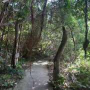 ヒメ日記 2025/04/29 21:09 投稿 まなえ先生 クラスメイト