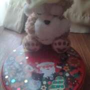 ヒメ日記 2024/12/12 23:16 投稿 有働由利子 五十路マダム富山店(カサブランカグループ)