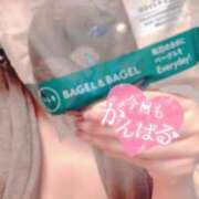 ヒメ日記 2025/04/27 08:04 投稿 国見 芽久美 30代40代50代と遊ぶなら博多人妻専科24時