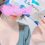 ヒメ日記 2025/06/08 00:35 投稿 国見 芽久美 30代40代50代と遊ぶなら博多人妻専科24時