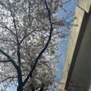 ヒメ日記 2026/04/08 13:58 投稿 エリカ ソープランドMAX‐マックス-