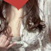 ヒメ日記 2025/11/09 09:38 投稿 なつき 静岡駅前ちゃんこ