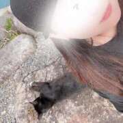 ヒメ日記 2025/08/19 16:58 投稿 さな 君とふわふわプリンセスin熊谷