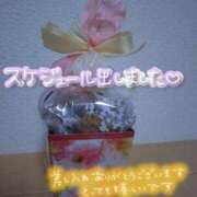 ヒメ日記 2025/04/25 19:04 投稿 なつな 成田人妻花壇