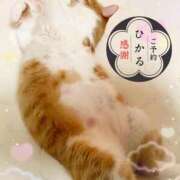 ヒメ日記 2025/02/25 16:49 投稿 ひかる 香川高松ちゃんこ