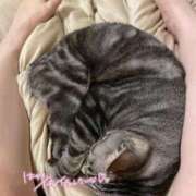 ヒメ日記 2025/02/28 18:39 投稿 ひかる 香川高松ちゃんこ