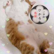 ヒメ日記 2025/03/03 13:59 投稿 ひかる 香川高松ちゃんこ