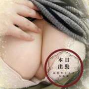 ヒメ日記 2025/03/04 16:59 投稿 ひかる 香川高松ちゃんこ