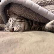 ヒメ日記 2025/03/17 13:29 投稿 ひかる 香川高松ちゃんこ