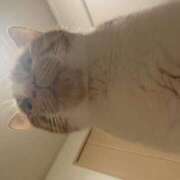 ヒメ日記 2025/05/06 16:19 投稿 ひかる 香川高松ちゃんこ