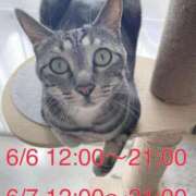 ヒメ日記 2025/06/01 16:29 投稿 ひかる 香川高松ちゃんこ