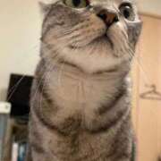 ヒメ日記 2025/09/18 19:49 投稿 ひかる 香川高松ちゃんこ