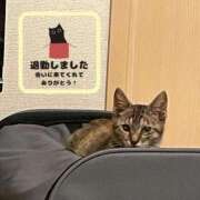 ヒメ日記 2025/09/23 21:19 投稿 ひかる 香川高松ちゃんこ