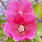 ヒメ日記 2025/10/11 16:59 投稿 ひかる 香川高松ちゃんこ