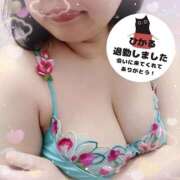 ヒメ日記 2025/10/16 00:29 投稿 ひかる 香川高松ちゃんこ