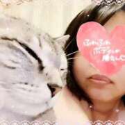 ヒメ日記 2025/10/18 01:29 投稿 ひかる 香川高松ちゃんこ