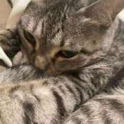 ヒメ日記 2025/12/31 00:03 投稿 ひかる 香川高松ちゃんこ