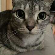 ヒメ日記 2025/12/31 08:59 投稿 ひかる 香川高松ちゃんこ