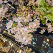 夏（ナツ） 4/3 待ち合わせ 本指名H様へ アバンチュール(五反田)