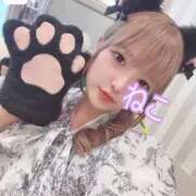 ヒメ日記 2024/12/12 19:45 投稿 ねこ 電マナイザー イラマチオン