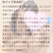 ヒメ日記 2024/12/18 19:00 投稿 ねこ 電マナイザー イラマチオン
