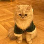 ヒメ日記 2024/12/31 13:48 投稿 ねこ 電マナイザー イラマチオン