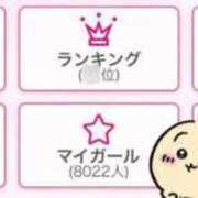 ヒメ日記 2024/12/31 19:15 投稿 ねこ 電マナイザー イラマチオン