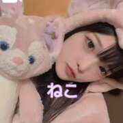 ヒメ日記 2024/12/31 22:05 投稿 ねこ 電マナイザー イラマチオン