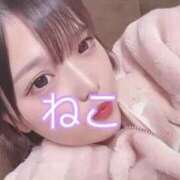 ヒメ日記 2025/01/02 22:25 投稿 ねこ 電マナイザー イラマチオン