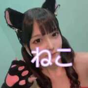 ヒメ日記 2025/01/13 23:45 投稿 ねこ 電マナイザー イラマチオン