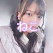 ヒメ日記 2025/01/16 19:05 投稿 ねこ 電マナイザー イラマチオン