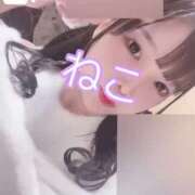 ヒメ日記 2025/01/20 01:45 投稿 ねこ 電マナイザー イラマチオン