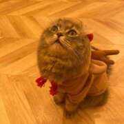 ヒメ日記 2025/01/20 13:25 投稿 ねこ 電マナイザー イラマチオン