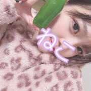 ヒメ日記 2025/02/04 19:15 投稿 ねこ 電マナイザー イラマチオン