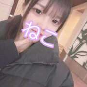 ヒメ日記 2025/02/06 12:25 投稿 ねこ 電マナイザー イラマチオン