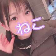 ヒメ日記 2025/02/07 23:05 投稿 ねこ 電マナイザー イラマチオン