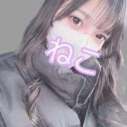 ヒメ日記 2025/02/10 19:35 投稿 ねこ 電マナイザー イラマチオン