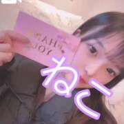 ヒメ日記 2025/02/12 00:02 投稿 ねこ 電マナイザー イラマチオン