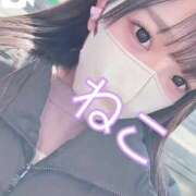 ヒメ日記 2025/02/13 13:45 投稿 ねこ 電マナイザー イラマチオン