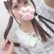 ヒメ日記 2025/02/17 12:35 投稿 ねこ 電マナイザー イラマチオン