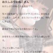 ヒメ日記 2025/03/09 20:55 投稿 ねこ 電マナイザー イラマチオン