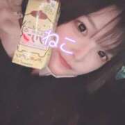 ヒメ日記 2025/03/10 21:35 投稿 ねこ 電マナイザー イラマチオン