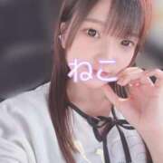 ヒメ日記 2025/03/26 15:35 投稿 ねこ 電マナイザー イラマチオン